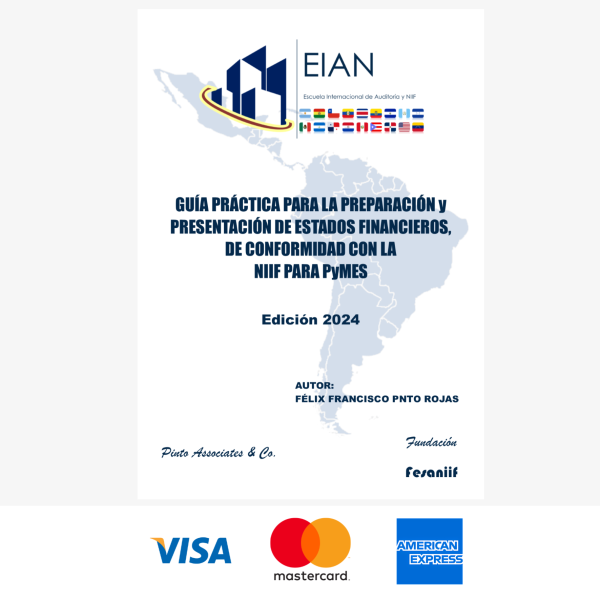 US$ 200.- Guía práctica para la preparación y presentación de estados financieros 2024
